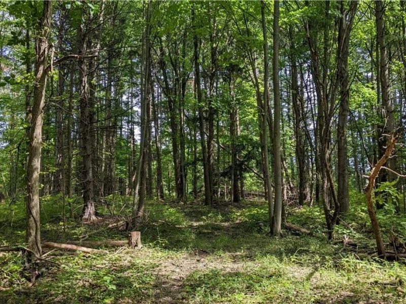 9376 Daniels Road, Seville, OH 44273 Photo 22