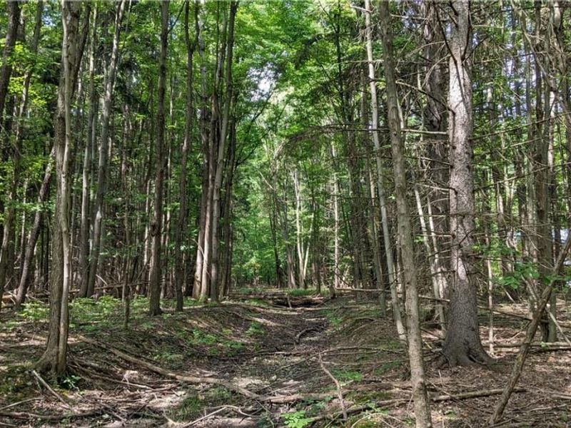 9376 Daniels Road, Seville, OH 44273 Photo 23