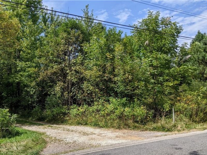 9376 Daniels Road, Seville, OH 44273 Photo 4