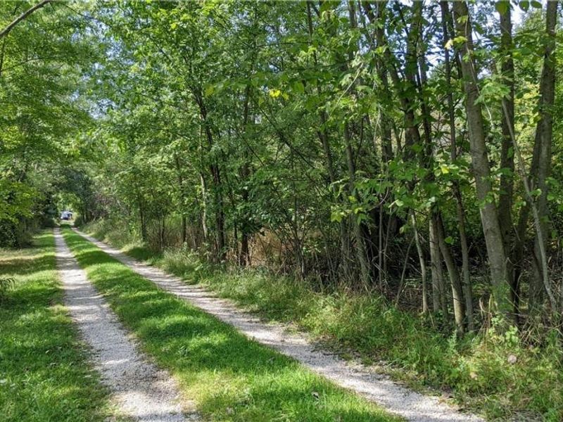 9376 Daniels Road, Seville, OH 44273 Photo 5