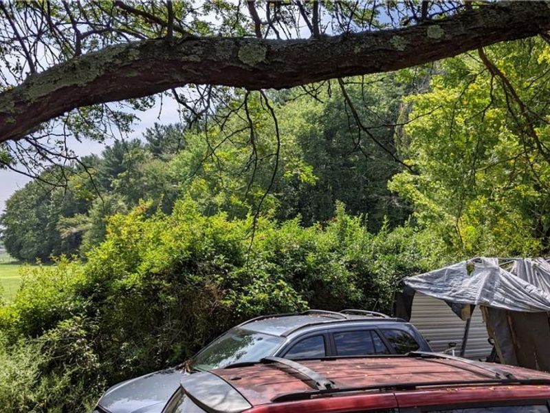 9376 Daniels Road, Seville, OH 44273 Photo 9