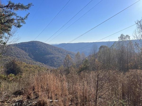 Hatfield Creek Rd, Newcomb, TN 37819