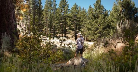 292 Gray Mill Court, Lot #C38, Carson City, NV 89705 Photo