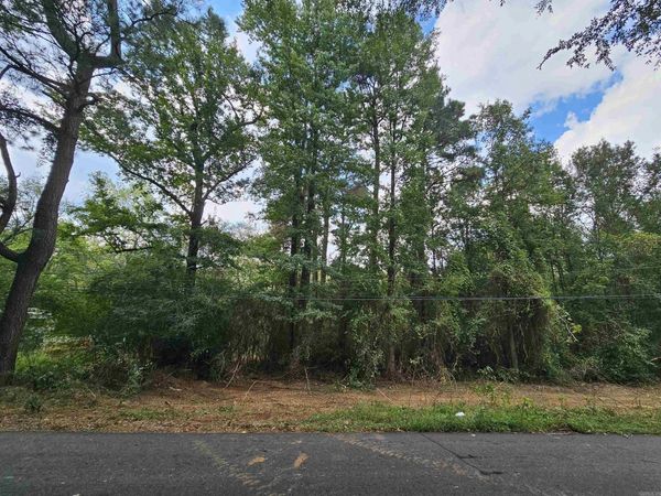 TBD Doggett Circle, Horatio, AR 71842