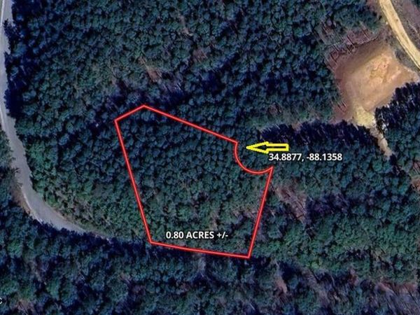 Pine Ridge Cove, Iuka, MS 38852