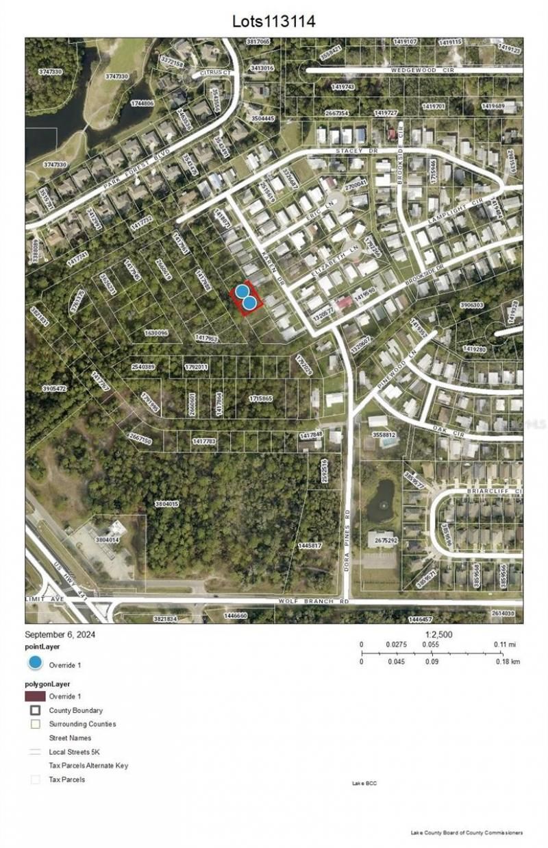 Lots 113 & 114 Karen Drive, Mount Dora, FL 32757 Main Photo