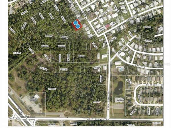 Lots 113 & 114 KAREN DRIVE, MOUNT DORA, FL 32757