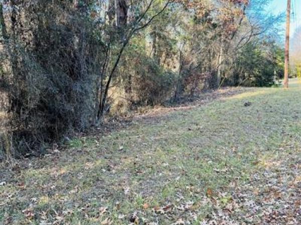 Lot 31 Winding Ln, Mount Vernon, TX 75457