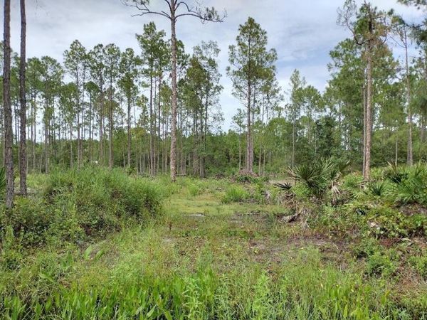 5814 MAHOGANY BOULEVARD, BUNNELL, FL 32110