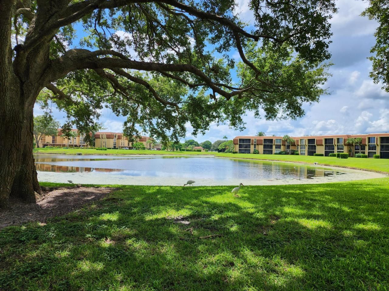 5344 Woodland Lakes Drive, Unit 223, Palm Beach Gardens, FL 33418 Photo