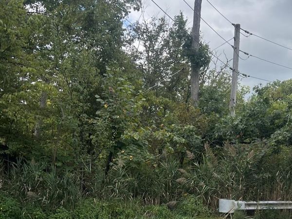 11702 German Church Road, Burr Ridge, IL 60527