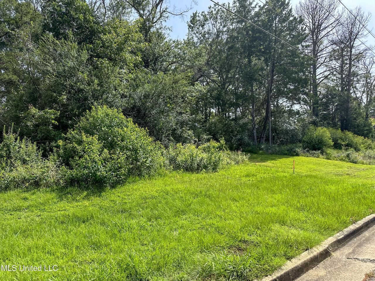 109 Woodchase Park Drive, Clinton, MS 39056 Main Photo
