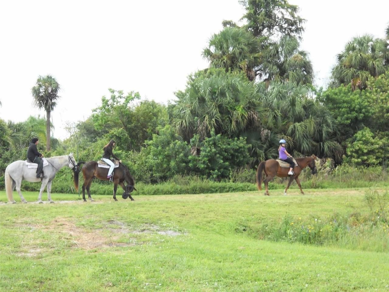 Lot A Burhans Road, Eustis, FL 32736 Photo