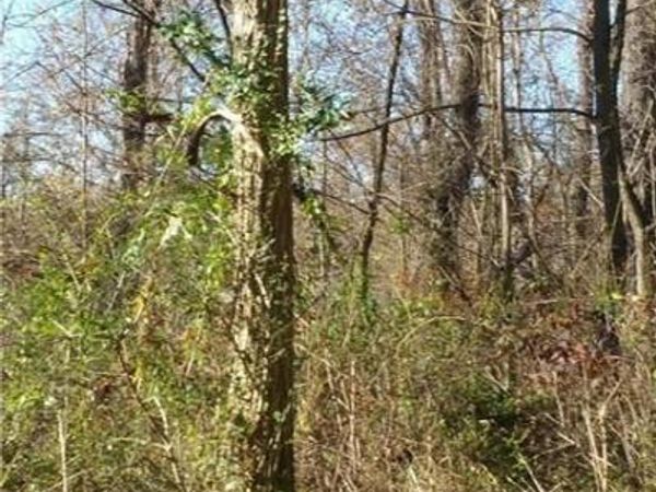 0 Watson Road, St Clairsville, OH 43950