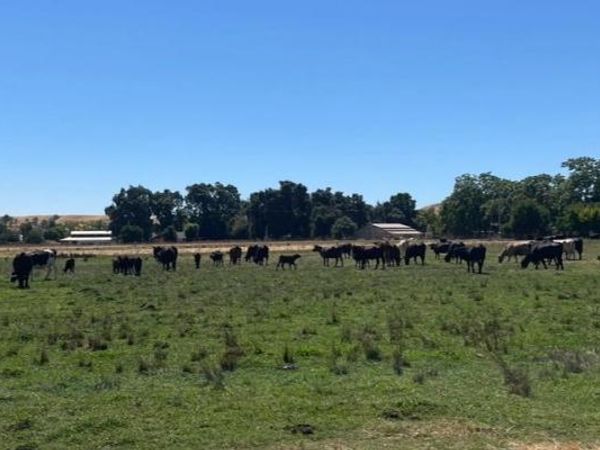 Morrison Rd, Oakdale, CA 95361