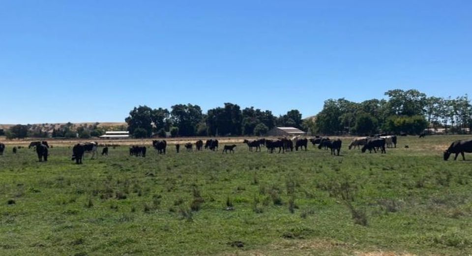 Morrison Rd, Oakdale, CA 95361 Photo