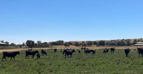 Morrison Rd, Oakdale, CA 95361 Photo