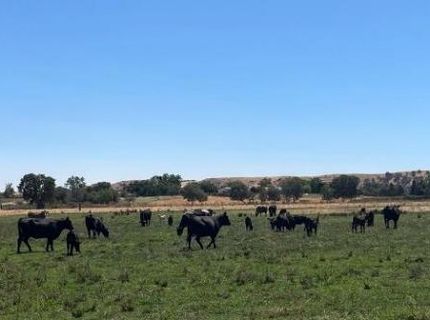 Morrison Rd, Oakdale, CA 95361 Photo