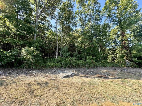 2317 Selma Street SW, Decatur, AL 35603
