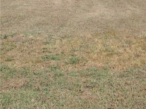 3 Sandhill Lane, Seadrift, TX 77983