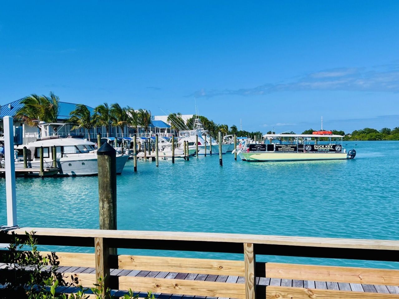 8202 Marina Villa Drive, Unit 8202, Duck Key, FL 33050 Photo