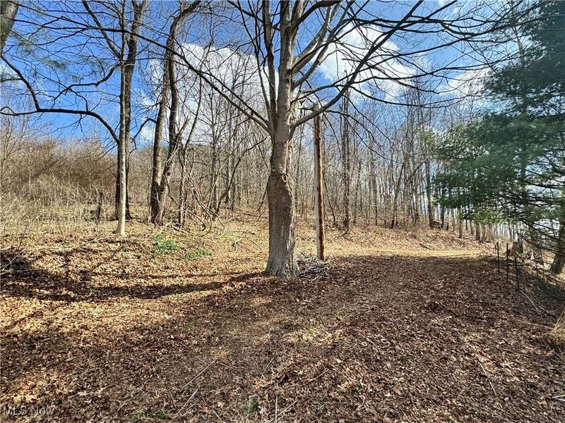 Holloway Rd/State Rt 331, Flushing, OH 43977 Photo 3