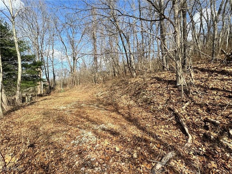 Holloway Rd/State Rt 331, Flushing, OH 43977 Photo 4