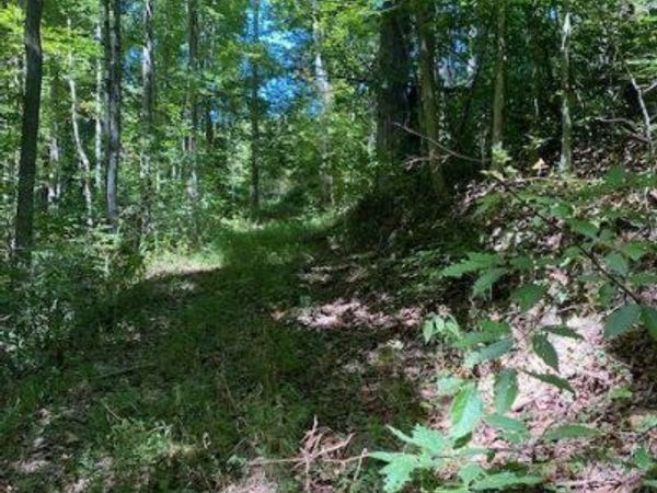 Tbd Hurricane Road, Jonesville, VA 24263