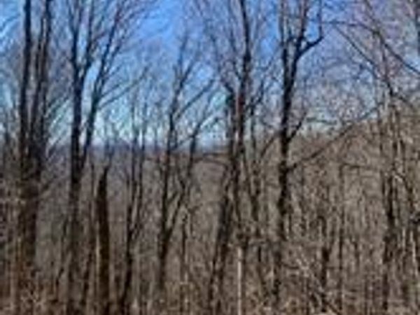 692 Oak Ridge Lane, Mars Hill, NC 28754
