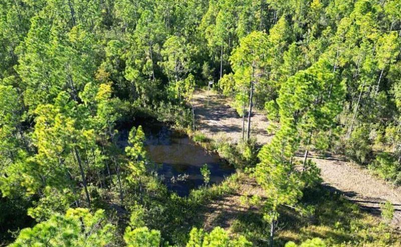 N/a, Fountain, FL 32438 Photo