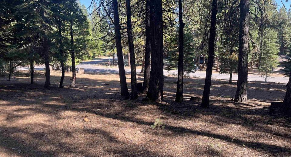 935 Long Iron Drive, Lake Almanor, CA 00000 Photo