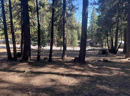 935 Long Iron Drive, Lake Almanor, CA 00000 Photo