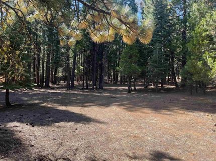 935 Long Iron Drive, Lake Almanor, CA 00000 Photo