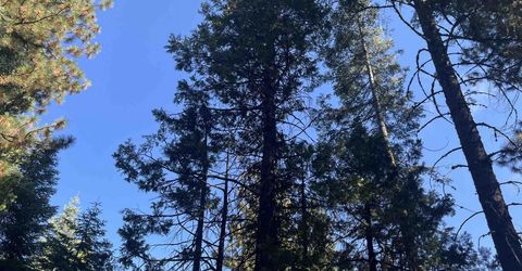 935 Long Iron Drive, Lake Almanor, CA 00000 Photo