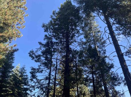 935 Long Iron Drive, Lake Almanor, CA 00000 Photo