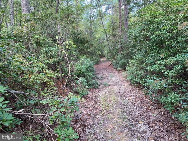 35-81B OLD PARSONS ROAD, KING GEORGE, VA 22485