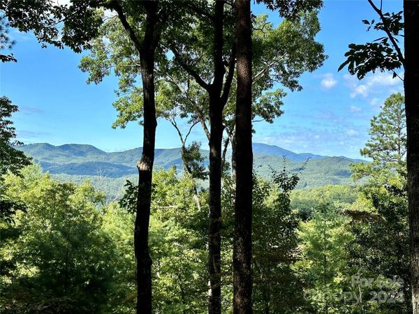 176 Winterberry Drive, Marshall, NC 28753