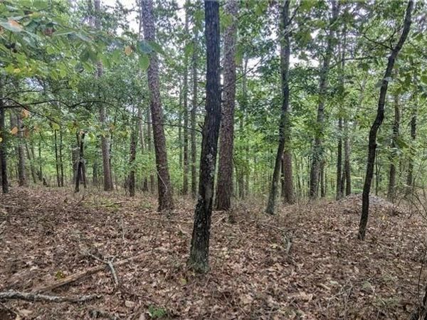 278 Adair Drive NE, Ranger, GA 30734