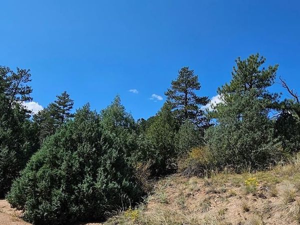 73 Alpine Way, Cotopaxi, CO 81223