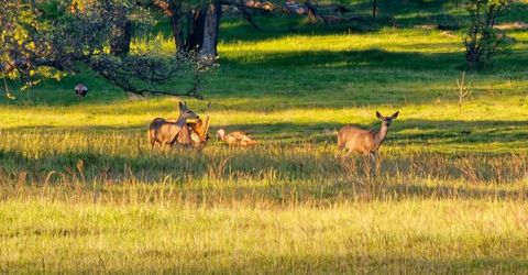 9145 Hunters Valley Rd, La Grange, CA 95329 Photo