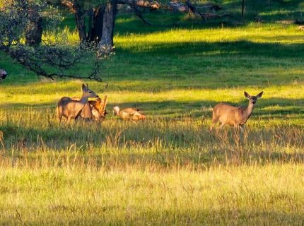 9145 Hunters Valley Rd, La Grange, CA 95329 Photo