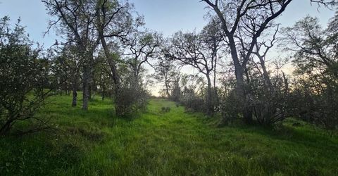 9145 Hunters Valley Rd, La Grange, CA 95329 Photo