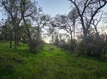 9145 Hunters Valley Rd, La Grange, CA 95329 Photo