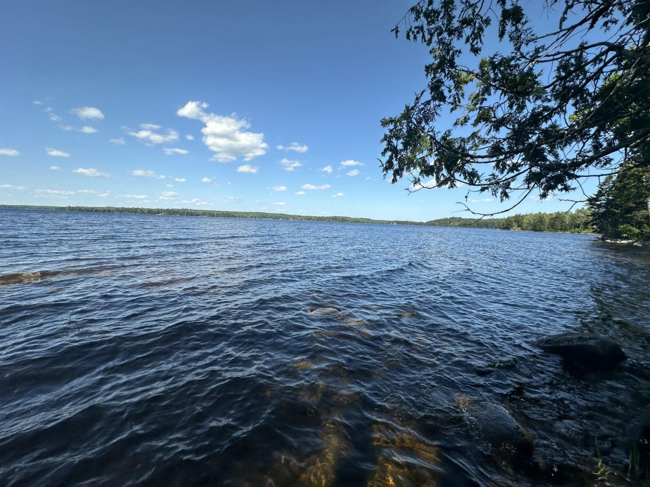 32 Dinsmore Lane, Whiting, ME 04691 Main Photo