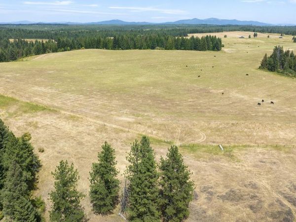 1605 Jasmine Ln, Parcels 14 & 15, Weippe, ID 83553