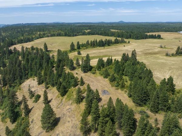 1605 Jasmine Ln, Parcels 16 & 17, Weippe, ID 83553