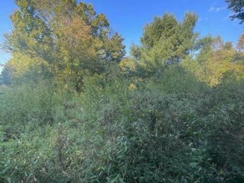 0 Monroe Mills Road, Mount Vernon, OH 43050 Photo 2