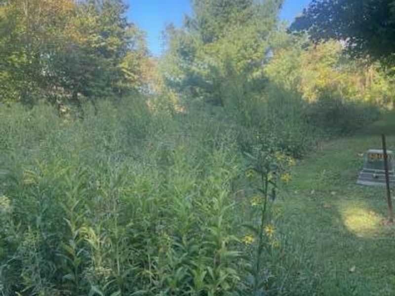 0 Monroe Mills Road, Mount Vernon, OH 43050 Photo 3