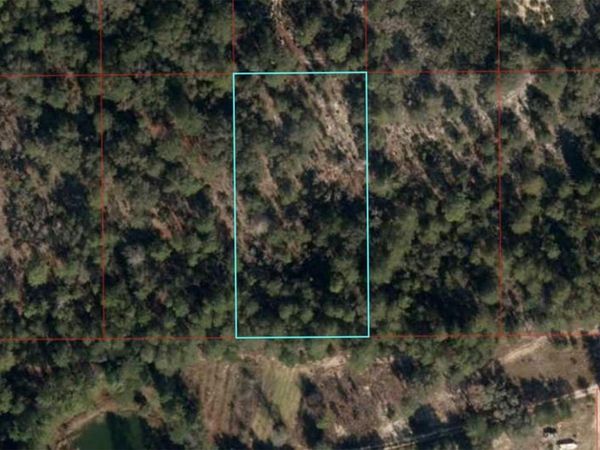 TBD NE 95TH STREET, BRONSON, FL 32621