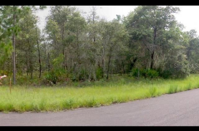 2156 W Deerfield Lane, Dunnellon, FL 34434 Main Photo